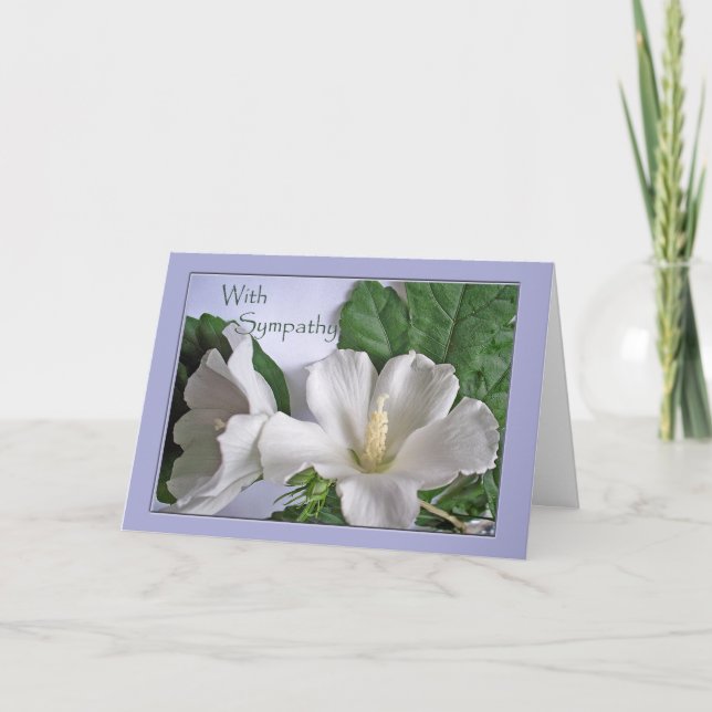 Cartão Com Simpatia Rosa de Sarã Hibisco Branco (Frente)