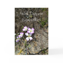 Com simpatias as mais profundas