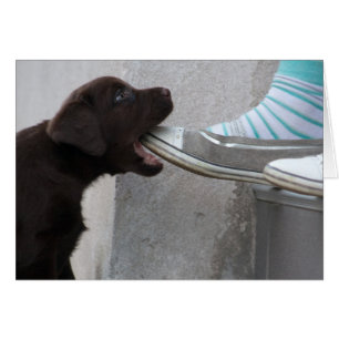 Cartão Coma O Meu Calçado! Labrador Puppy