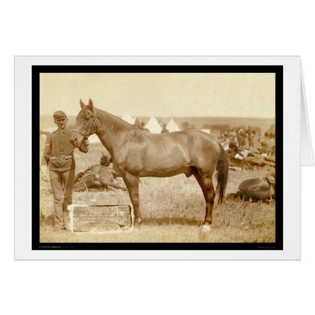 Cartão Comanche, Cavalo do Exército SD 1887 (Frente Horizontal)