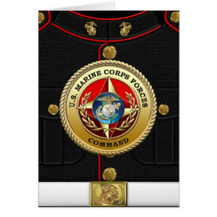 Cartão Comando das Forças Armadas dos EUA (MARFORCOM) [3D