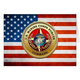 Cartão Comando das Forças Armadas dos EUA (MARFORCOM) [3D