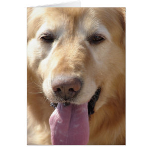 Cartão Cometa o Ouro