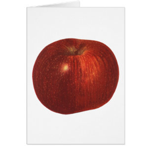 Cartão Comida Vintage, Fruta Vermelha orgânica, Apple del