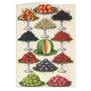 Cartão Comidas Vintage com Fruta nas bandejas para cateri