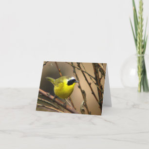 Cartão Common Yellowthroat • Joe Sweeney - card