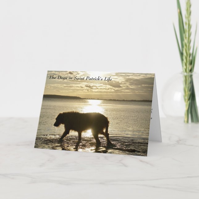 Cartão Como Cachorros Inspiraram Ruas. (Frente)