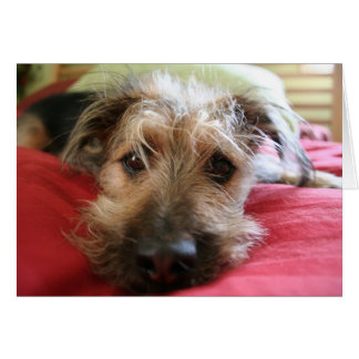 Cartão Como é você?