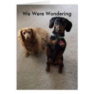 Cartão Como é você?