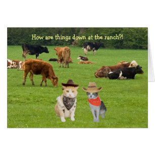 Cartão Como estão as coisas para baixo no rancho?!