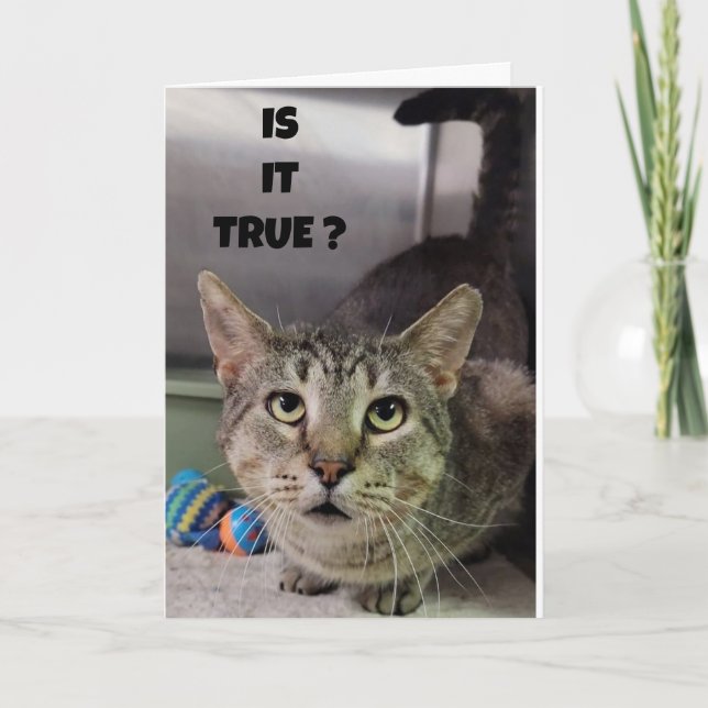 CARTÃO COMO EXPLICAREMOS A VIRTUDE **40*** HUMOR DE ANIVE (Frente)