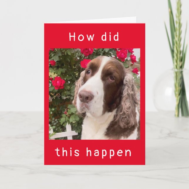 Cartão COMO ISSO ACONTECEU? Placa "FELIZ 12 DE ANIVERSÁRI (Frente)