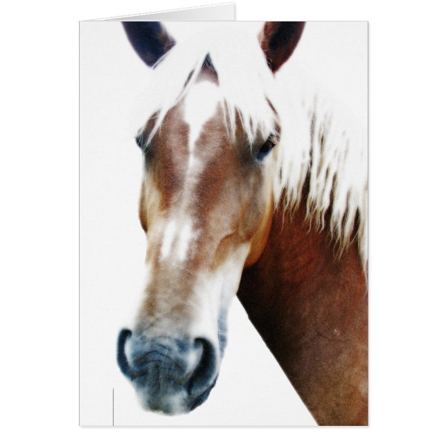 Cartão como vai? (Frente)