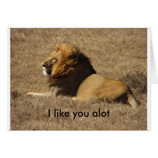 Cartão Como Você Muito