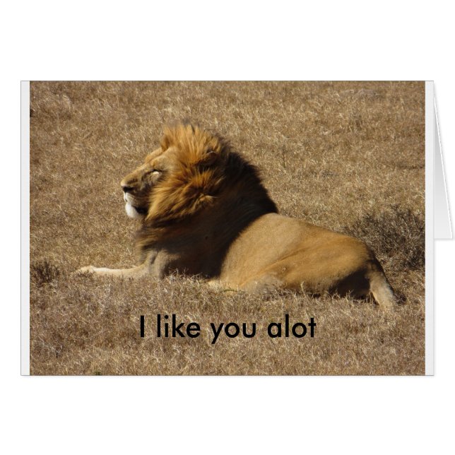 Cartão Como Você Muito (Frente Horizontal)