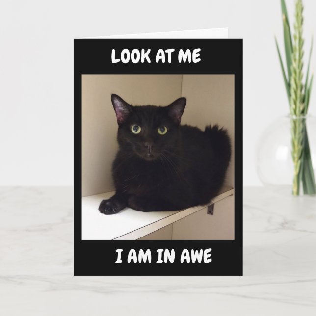 CARTÃO COMO VOCÊ PODE FAZER "50"? (Frente)