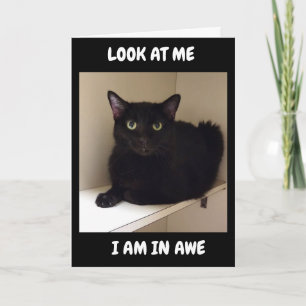 CARTÃO COMO VOCÊ PODE FAZER "50"?