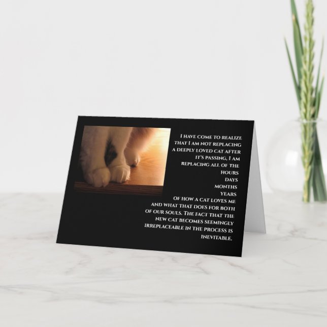 Cartão Compaixão por gatos (Frente)