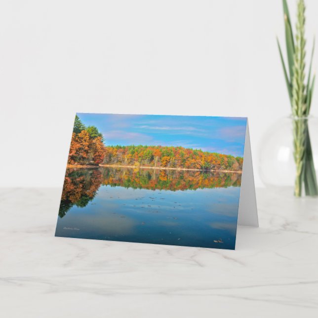 Cartão Companheiro da Solidão-Um na natureza (Frente)