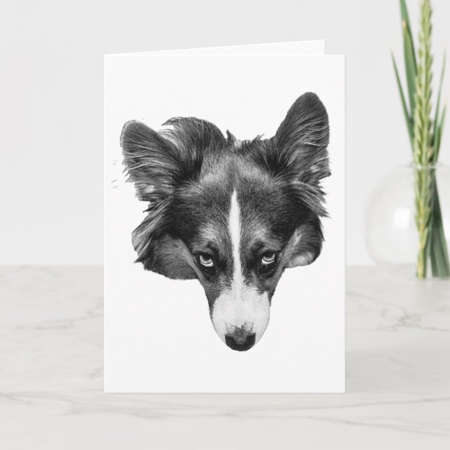 Cartão companheiro silverlight (Frente)