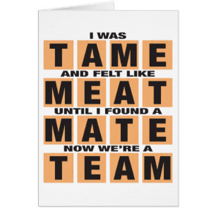 CARTÃO COMPANHEIROS DA EQUIPE