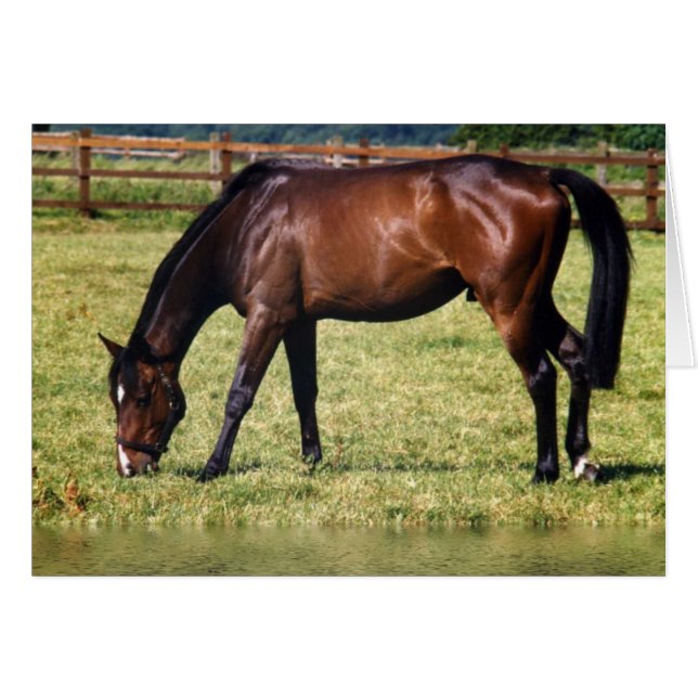 Cartão Compartimento de Reflexão (Frente Horizontal)