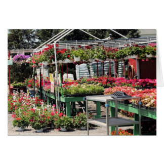 Cartão compro de flores