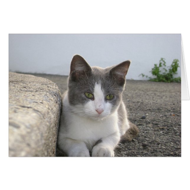 Cartão "Computador a cores" (Frente Horizontal)