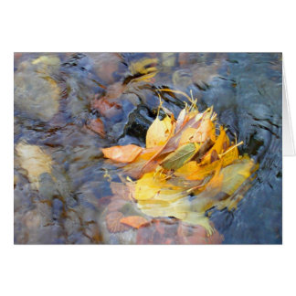 Cartão Comunidade por Cynthia Wenslow