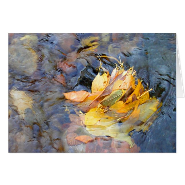 Cartão Comunidade por Cynthia Wenslow (Frente Horizontal)