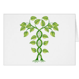 Cartão Conceito da planta do ADN