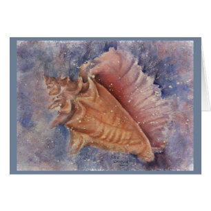 CARTÃO CONCH LINDO SHELL DO OCEANO