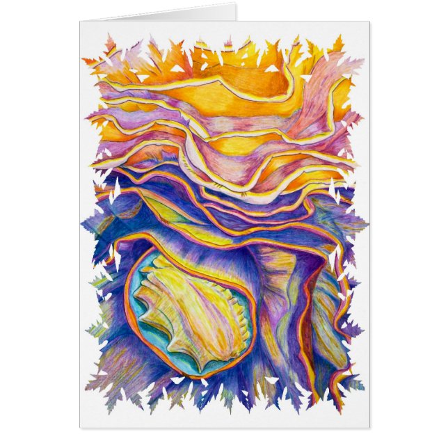 Cartão Conch Shell (Frente)