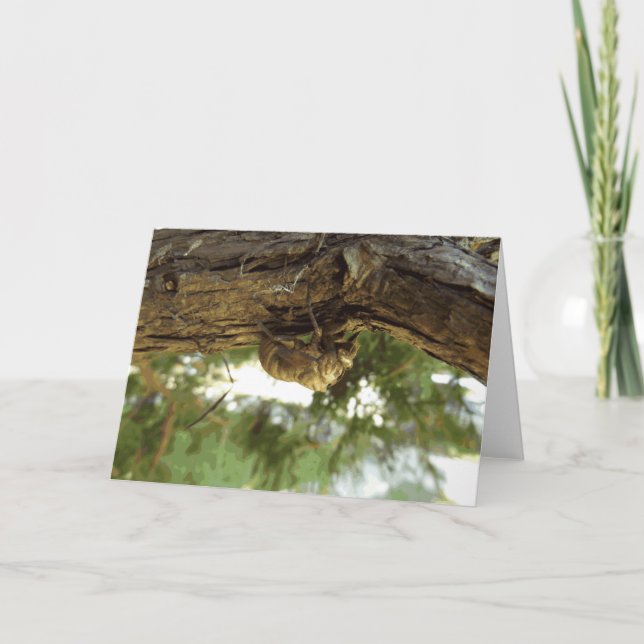 Cartão Concha de Cicada. Estava com pressa. (Frente)