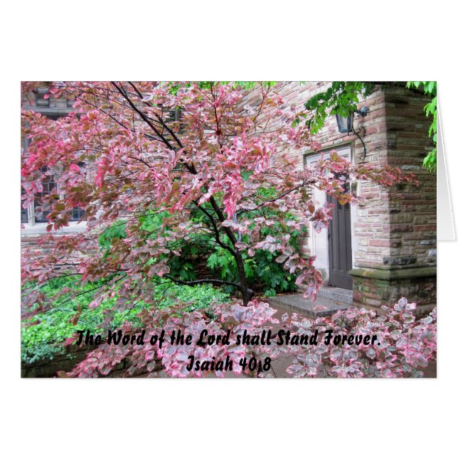 Cartão Concordia Seminário - A Palavra do Senhor (Frente Horizontal)