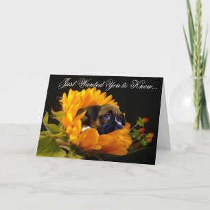 Cartão Condolences Boxer puppy greeting card