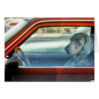 Cartão Condutor de cães