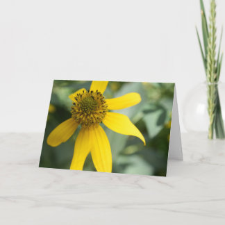 Cartão Coneflower de Folha Recortada (Rudbeckia laciniata
