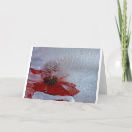 Cartão Coneflower in Ice