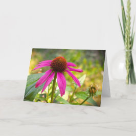 Cartão Coneflower, placa