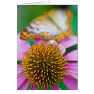 Cartão Coneflower roxo