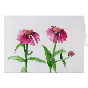 Cartão Coneflowers roxo