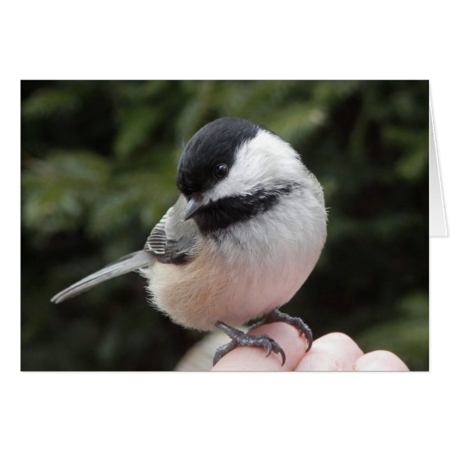 Cartão Confiança (Frente Horizontal)