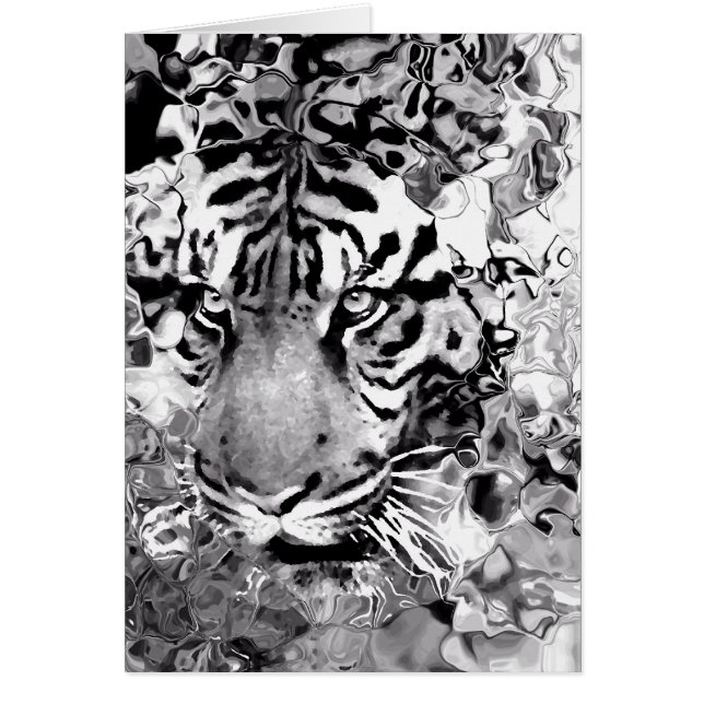 Cartão Confie _ (Frente)