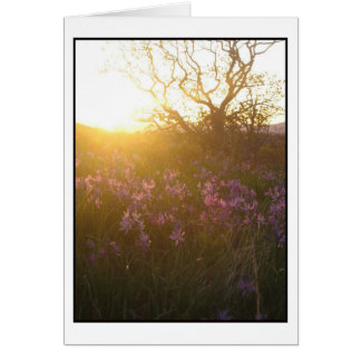 Cartão Configuração do Sol no Monte Tolmie e em Camas