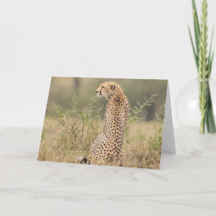 Cartão Configuração Natural de Cheetah Personalizar Assin