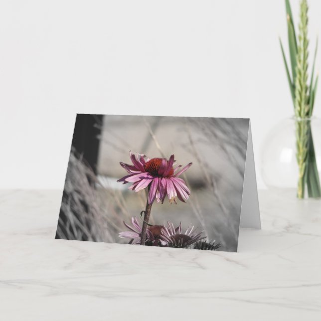 Cartão Confluentes (Frente)