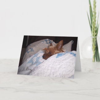 Cartão Conforto de Alfie