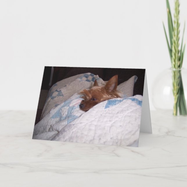 Cartão Conforto de Alfie (Frente)