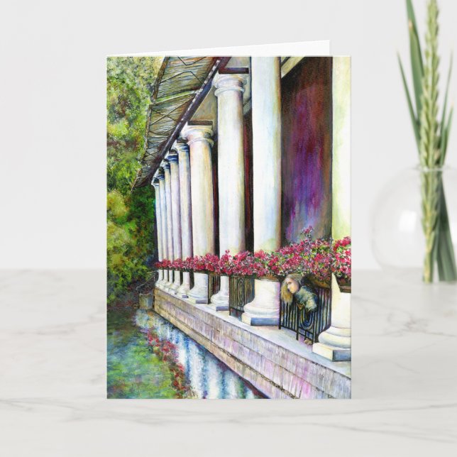 Cartão Conforto é inimigo do progresso (Frente)